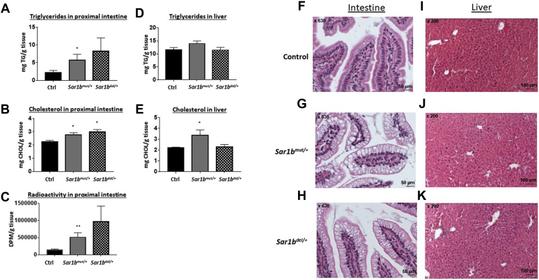 Fig. 6