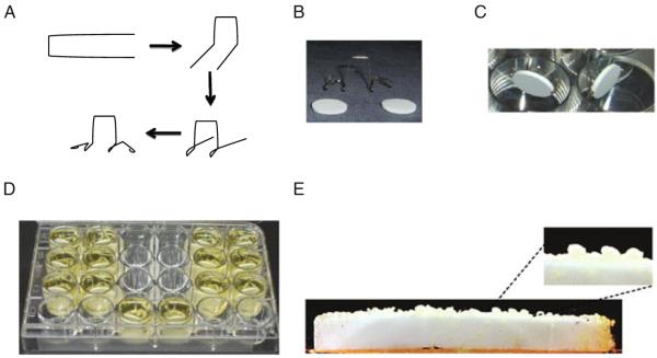 Fig. 7.2