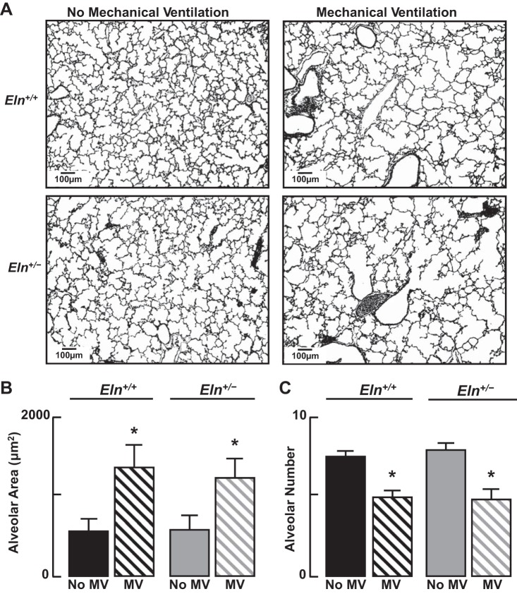 Fig. 11.