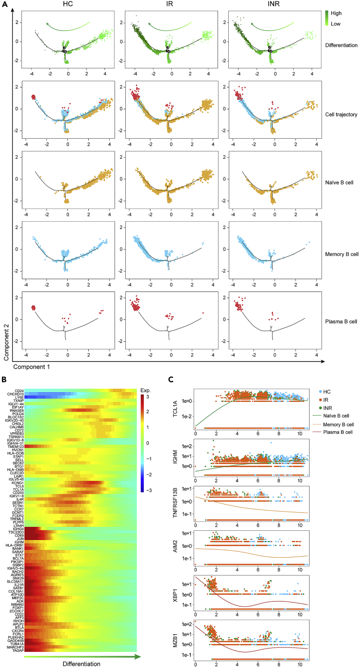 Figure 4