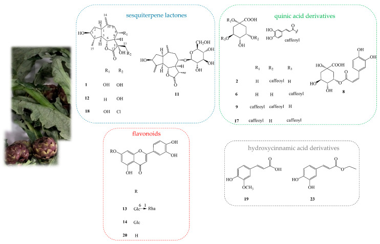 Figure 5