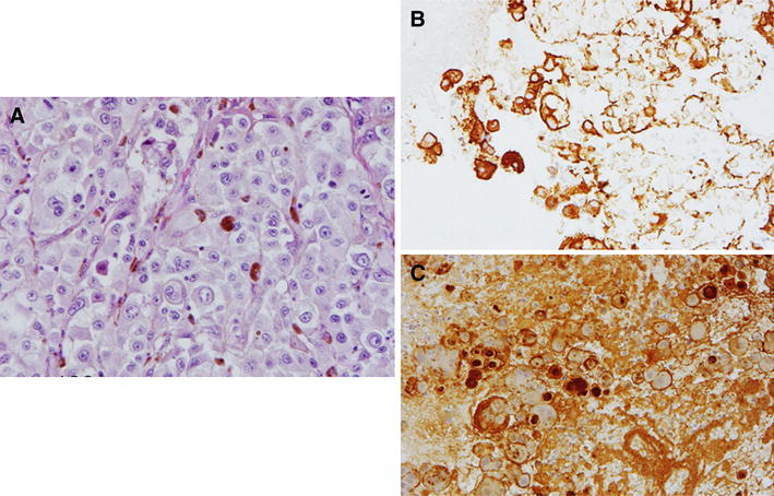 Fig. 2