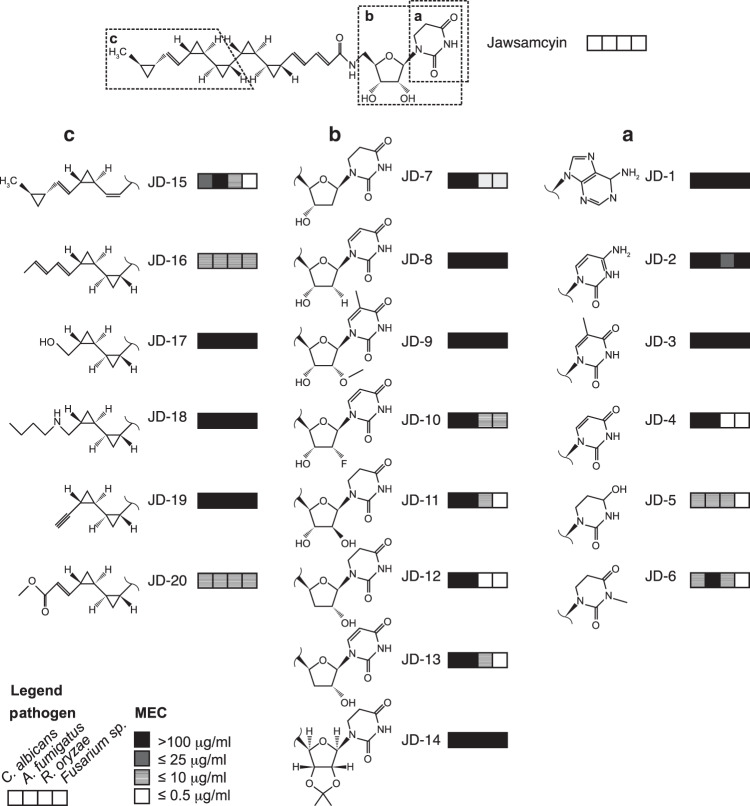 Fig. 4