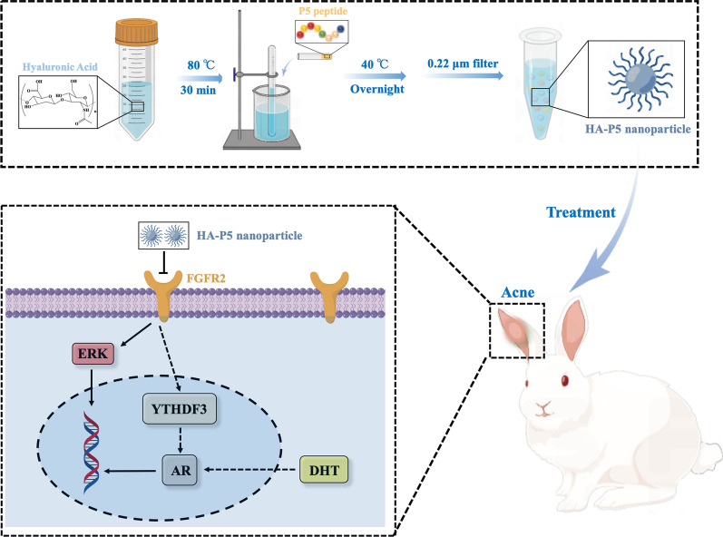 graphic file with name 12951_2023_1812_Figa_HTML.jpg