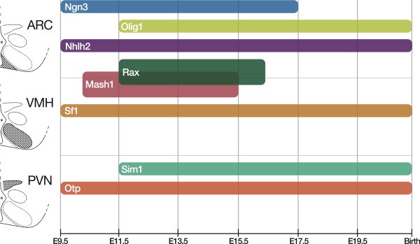 Figure 1