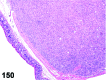 Figure 150