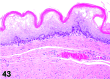 Figure 43
