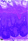 Figure 68