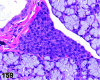 Figure 159