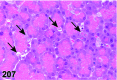 Figure 207