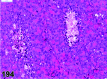 Figure 194