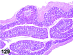 Figure 129