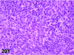 Figure 201
