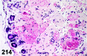 Figure 214