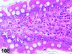 Figure 108
