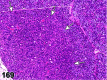 Figure 169