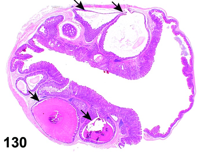 Figure 130