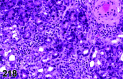 Figure 218