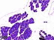 Figure 220