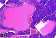 Figure 226