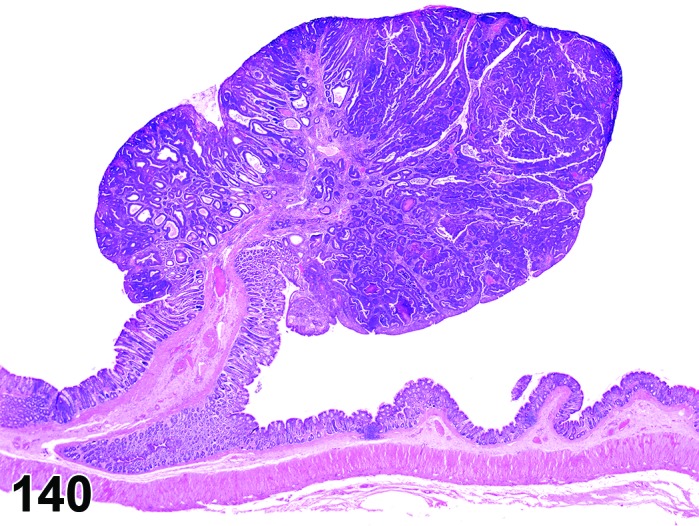 Figure 140