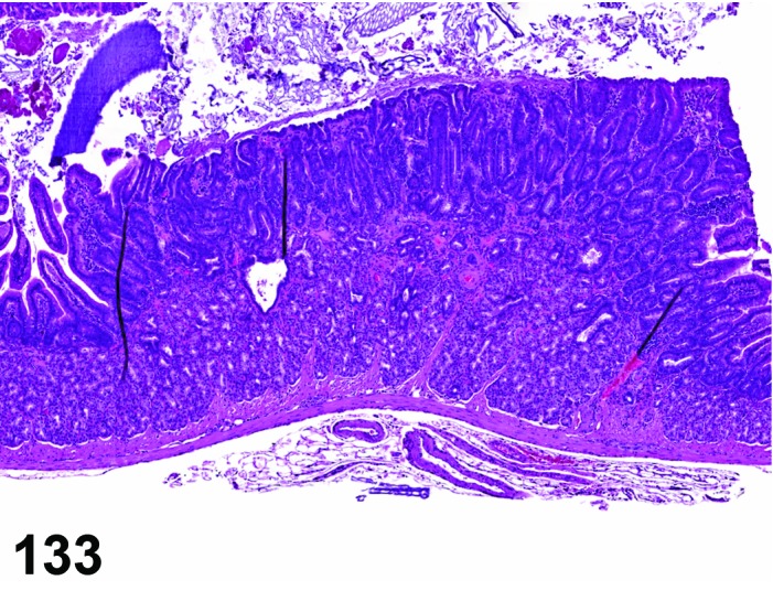 Figure 133