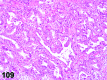 Figure 109