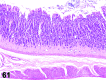 Figure 61