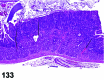 Figure 133
