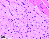 Figure 34