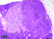 Figure 188