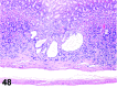 Figure 48