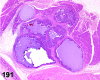 Figure 191