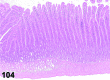 Figure 104