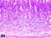 Figure 84