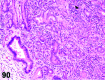 Figure 90