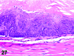 Figure 27