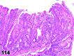Figure 114