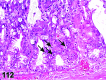 Figure 112