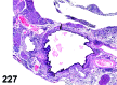 Figure 227