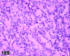 Figure 189
