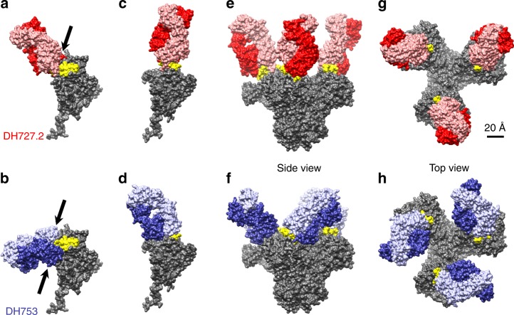 Fig. 6