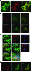 FIG. 3.