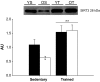 FIG. 6.