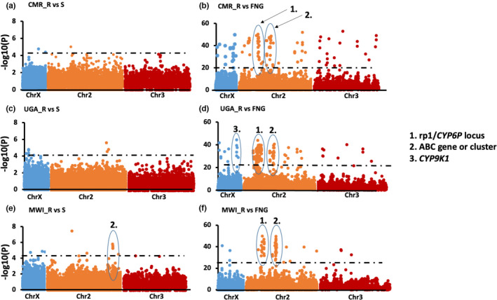 FIGURE 3