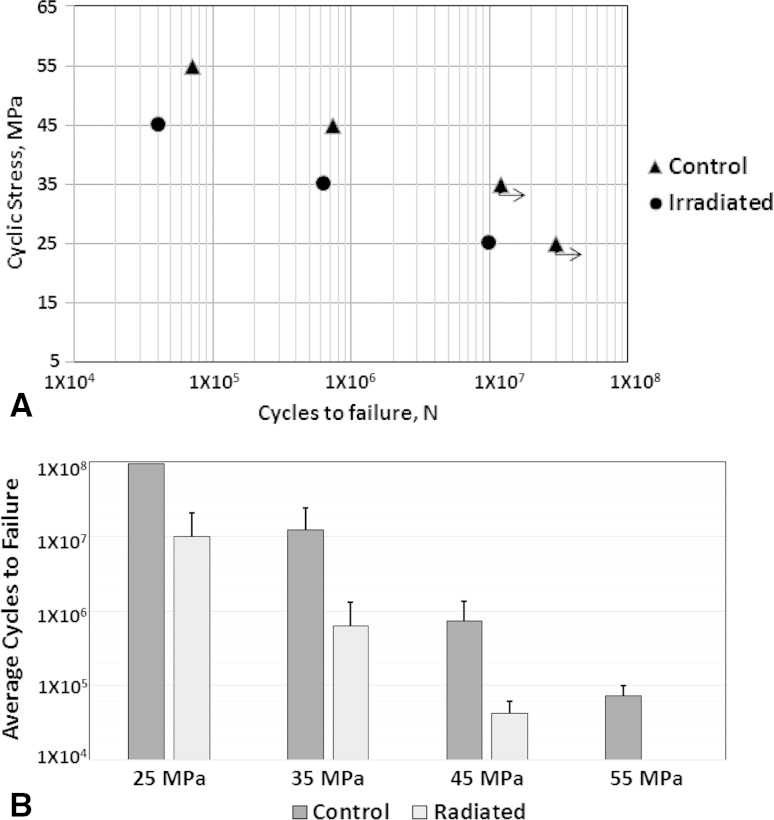 Fig. 2A–B