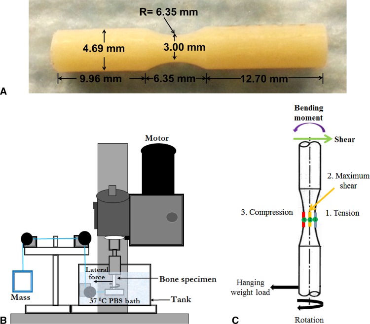 Fig. 1A–C