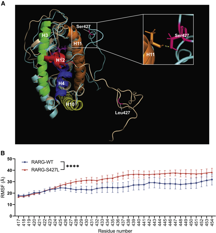 Figure 1