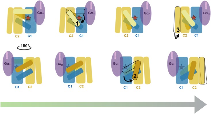 Fig 7