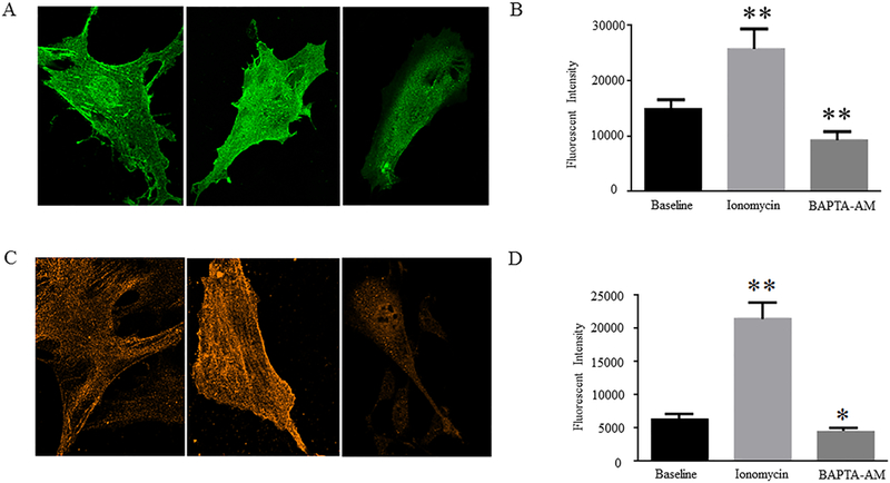 Figure 3: